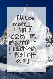 从Costco代工厂到1.2亿会员：鸣鸣很忙的“白牌进化论”做对了什么？