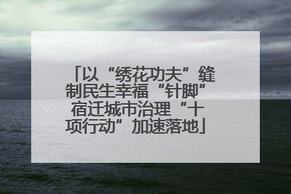 以“绣花功夫”缝制民生幸福“针脚” 宿迁城市治理“十项行动”加速落地
