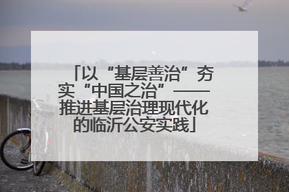 以“基层善治”夯实“中国之治”——推进基层治理现代化的临沂公安实践