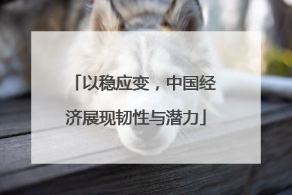 以稳应变，中国经济展现韧性与潜力