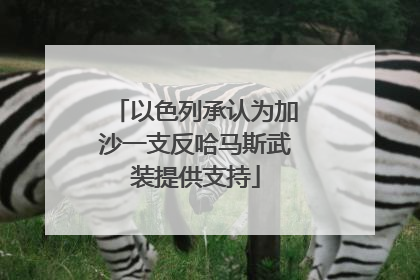以色列承认为加沙一支反哈马斯武装提供支持