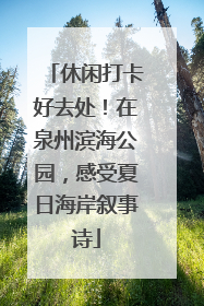 休闲打卡好去处！在泉州滨海公园，感受夏日海岸叙事诗