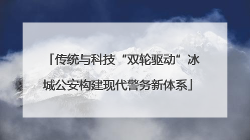 传统与科技“双轮驱动”冰城公安构建现代警务新体系