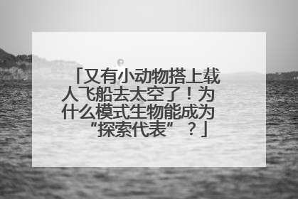 又有小动物搭上载人飞船去太空了！为什么模式生物能成为“探索代表”？