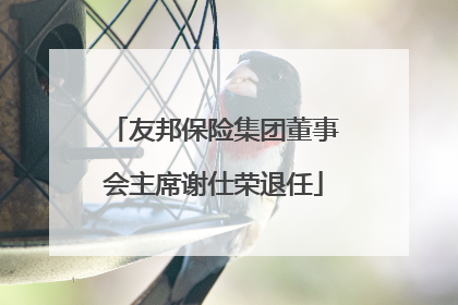 友邦保险集团董事会主席谢仕荣退任