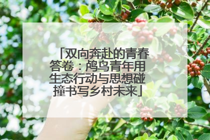 双向奔赴的青春答卷：鸬鸟青年用生态行动与思想碰撞书写乡村未来