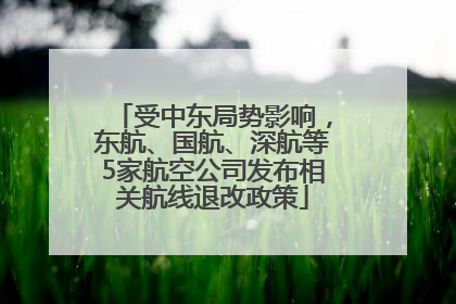 受中东局势影响，东航、国航、深航等5家航空公司发布相关航线退改政策