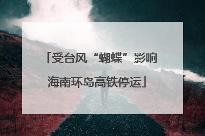 受台风“蝴蝶”影响 海南环岛高铁停运