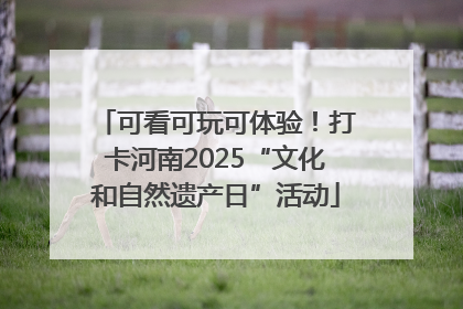 可看可玩可体验！打卡河南2025“文化和自然遗产日”活动