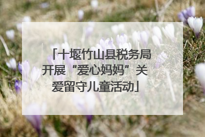十堰竹山县税务局开展“爱心妈妈”关爱留守儿童活动
