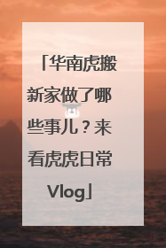 华南虎搬新家做了哪些事儿？来看虎虎日常Vlog