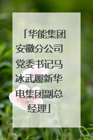 华能集团安徽分公司党委书记马冰武履新华电集团副总经理