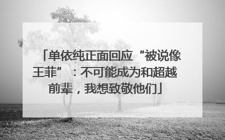 单依纯正面回应“被说像王菲”：不可能成为和超越前辈，我想致敬他们
