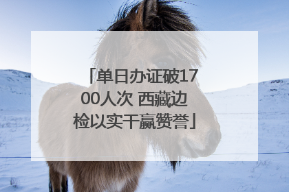 单日办证破1700人次 西藏边检以实干赢赞誉