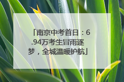 南京中考首日：6.94万考生冒雨逐梦，全城温暖护航