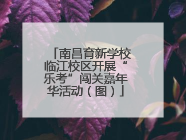 南昌育新学校临江校区开展“乐考”闯关嘉年华活动（图）