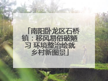 南阳卧龙区石桥镇：移风易俗破陋习 环境整治绘就乡村新图景