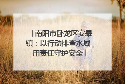 南阳市卧龙区安皋镇：以行动排查水域 用责任守护安全