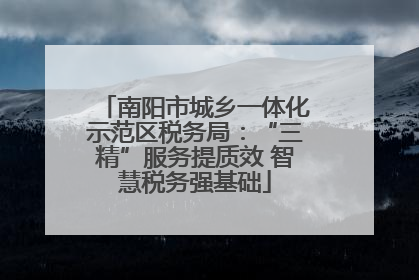 南阳市城乡一体化示范区税务局：“三精”服务提质效 智慧税务强基础