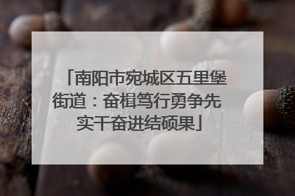 南阳市宛城区五里堡街道：奋楫笃行勇争先 实干奋进结硕果