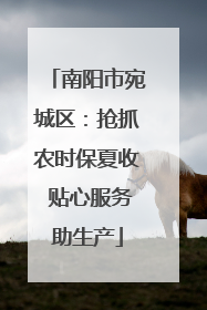 南阳市宛城区：抢抓农时保夏收 贴心服务助生产