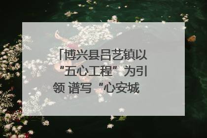 博兴县吕艺镇以“五心工程”为引领 谱写“心安城市”建设新篇章