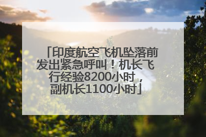 印度航空飞机坠落前发出紧急呼叫！机长飞行经验8200小时，副机长1100小时