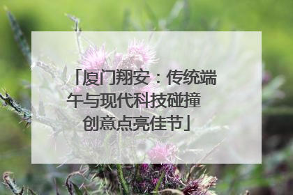 厦门翔安：传统端午与现代科技碰撞 创意点亮佳节