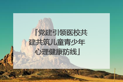 党建引领医校共建共筑儿童青少年心理健康防线