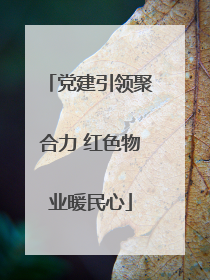 党建引领聚合力 红色物业暖民心