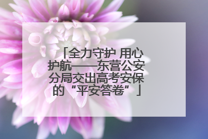 全力守护 用心护航——东营公安分局交出高考安保的“平安答卷”