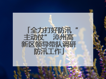 全力打好防汛“主动仗” 漳州高新区领导带队调研防汛工作