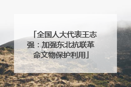 全国人大代表王志强：加强东北抗联革命文物保护利用