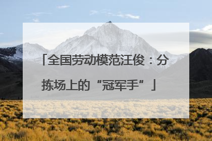 全国劳动模范汪俊：分拣场上的“冠军手”
