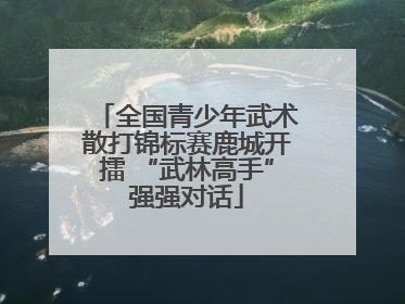 全国青少年武术散打锦标赛鹿城开擂 “武林高手”强强对话