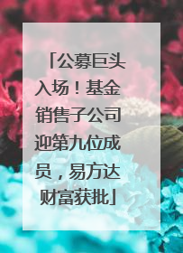 公募巨头入场！基金销售子公司迎第九位成员，易方达财富获批