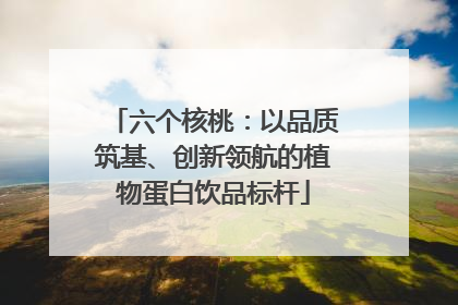 六个核桃：以品质筑基、创新领航的植物蛋白饮品标杆