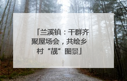 兰溪镇：干群齐聚屋场会，共绘乡村“靓”图景