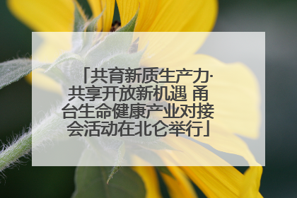 共育新质生产力·共享开放新机遇 甬台生命健康产业对接会活动在北仑举行