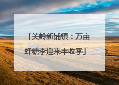 关岭新铺镇：万亩蜂糖李迎来丰收季
