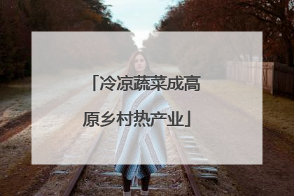 冷凉蔬菜成高原乡村热产业