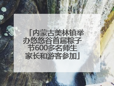 内蒙古美林镇举办悠悠谷首届粽子节600多名师生家长和游客参加
