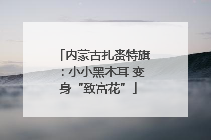 内蒙古扎赉特旗：小小黑木耳 变身“致富花”