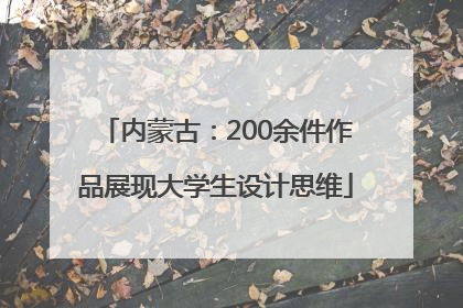 内蒙古：200余件作品展现大学生设计思维