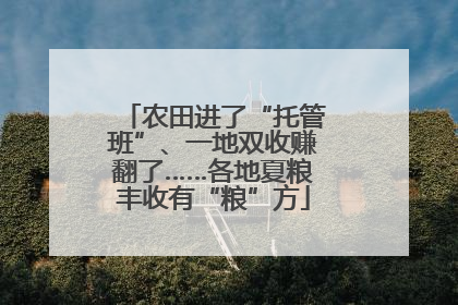 农田进了“托管班”、一地双收赚翻了……各地夏粮丰收有“粮”方