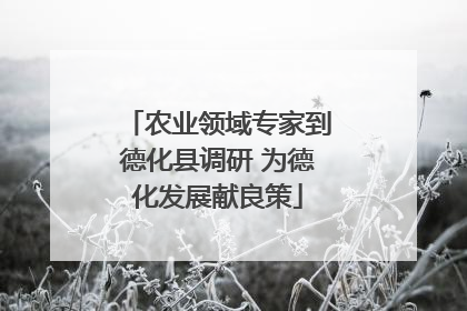 农业领域专家到德化县调研 为德化发展献良策
