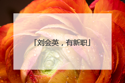 刘会英，有新职