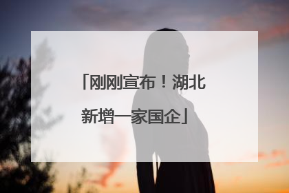 刚刚宣布！湖北新增一家国企