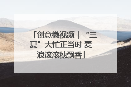 创意微视频｜“三夏”大忙正当时 麦浪滚滚穗飘香