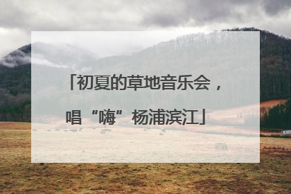 初夏的草地音乐会，唱“嗨”杨浦滨江